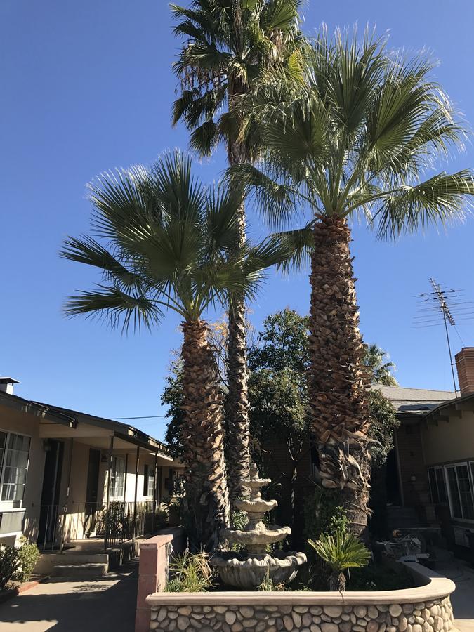 Elsinore Hotsprings Motel Lake Elsinore Exterior foto